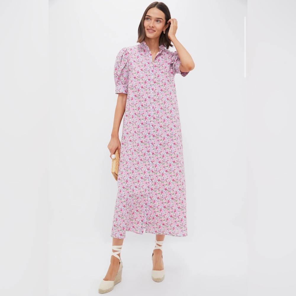 HYACINTH HOUSE Pink Multi Ruffle Collar Louisa Maxi Dress Size XS